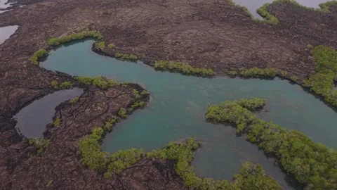 Turquoise inlets winding through dark volcanic rock and lagoon, landscape Stock Footage 308391400