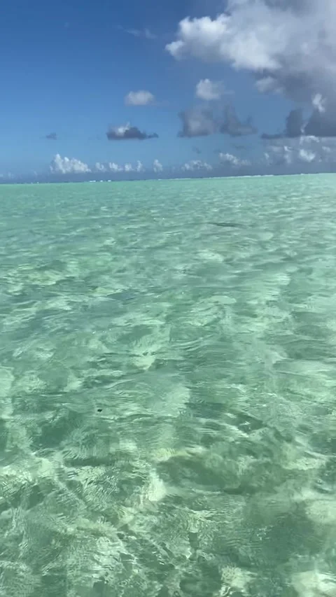 Turquoise lagoon in Maupiti Vídeo Stock 344307582