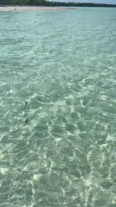Turquoise lagoon in Maupiti Vidéo 344307660