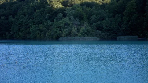 Turquoise Lake and Forest 스톡 동영상 293238282