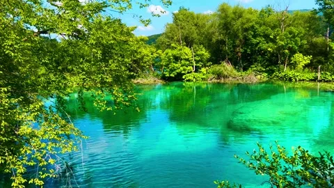 Turquoise lake in the park Stock Footage 260147320