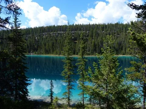 Turquoise lake reflecting evergreen forest and blue sky. Stock Photos