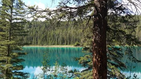 Turquoise lake surrounded by dense pine forest at Valley of the Five Lakes. Stock Photos