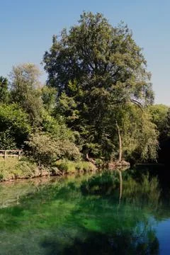 Turquoise lake surrounded by trees Stock Photos
