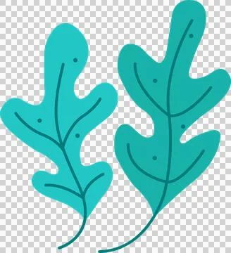 Turquoise leaf pair floating in flat design on transparent background showing Ilustração Stock