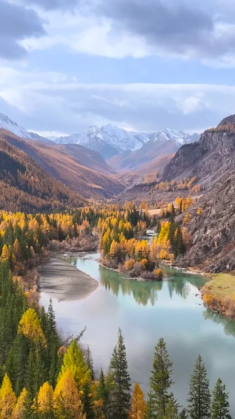 Turquoise mountain river through autumn forest and snowy peaks aerial landsca Stock-Footage 335502898