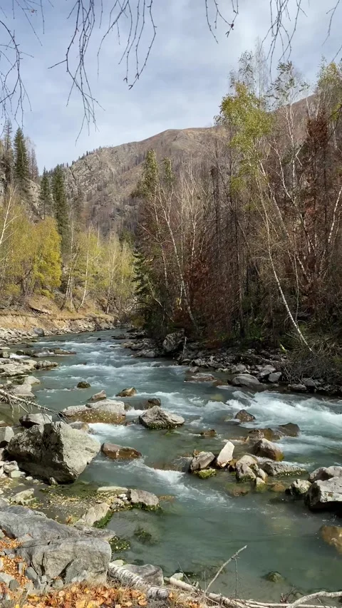 Turquoise mountain river water Stock Footage 251993712