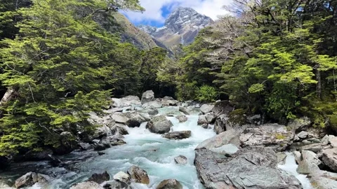 Turquoise mountain stream in beech forest, Routeburn Stock Footage 346405616