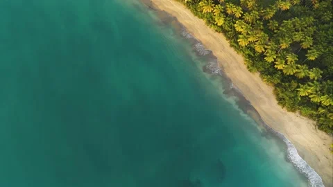 Turquoise ocean at the sandy palm beach view from above. Stock Footage 178482426