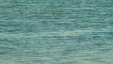 Turquoise Ocean Surface with Gentle Ripples and Tropical Water Movement Backgrou Видео 337527310