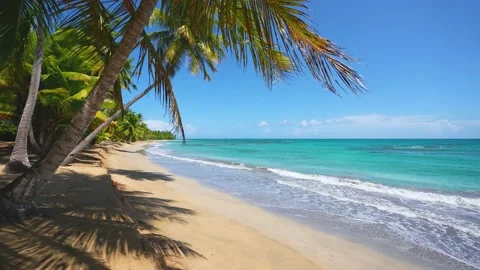 Turquoise ocean waves on the yellow sand of an Indian beach. Stock Footage 228667736