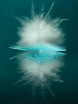 Turquoise parakeet feather on mirror with reflection, soft focus Stock Photos
