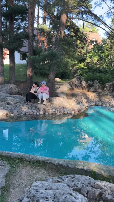 Turquoise Pond in Pine Forest Park Zlatibor Serbia Summer Day 스톡 동영상 342238106