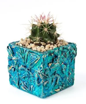 Turquoise pot with cactus Stock Photos