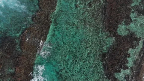 Turquoise Reef Stock Footage 105606487