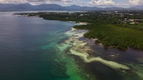 Turquoise Reef Pattern Along Mangrove Coast Puerto Princesa Palawan Vídeo Stock 332989535