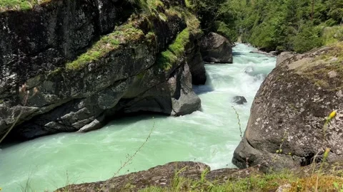 Turquoise River Flow in Green Gorge Stock Footage 260207475