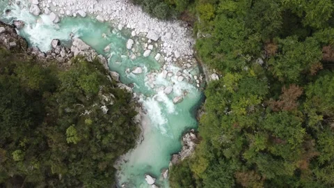 Turquoise River Flowing Through Forest with White Stones, Top-Down Aerial 스톡 동영상 316784468