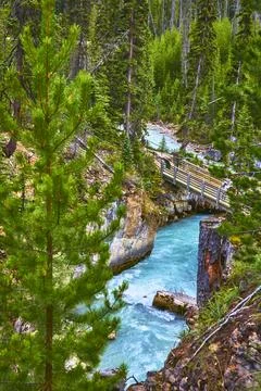 Turquoise River Flowing Through Forested Canyon with Wooden Bridge and Lush Stock Photos