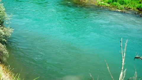 Turquoise River Flowing Through Green Trees and Grass Stock Footage 315770305