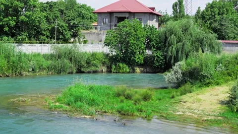 Turquoise River Flowing Through Green Trees and Grass Stock Footage 315771544