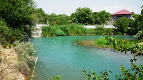 Turquoise River Flowing Through Green Trees and Grass Stock Footage 315771952