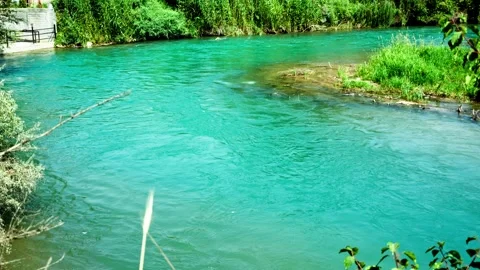 Turquoise River Flowing Through Green Trees and Grass Stock Footage 315772602