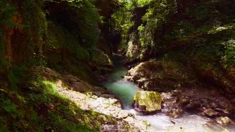 Turquoise River Flowing Through a Green Canyon 스톡 동영상 332449786