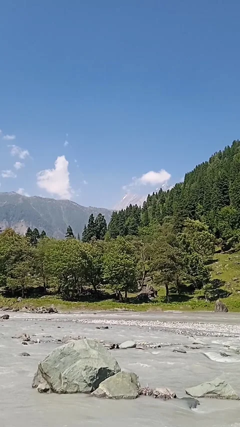 Turquoise River Flowing Through Lush Green Forest Kashmir Mountains 4K Stock Footage 338045474