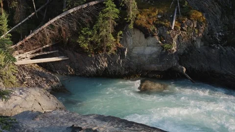 Turquoise River Flowing Through Rugged Gorge in Wilderness Stock Footage 255627239