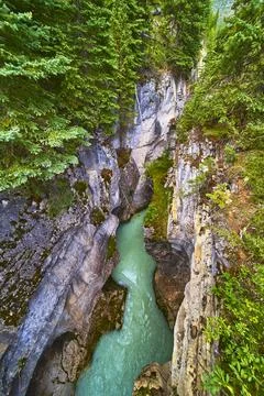 Turquoise River Flowing Through Steep Rocky Canyon Surrounded by Lush Evergreen 스톡 사진