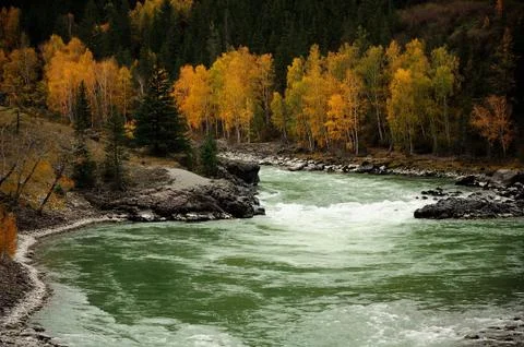 The turquoise river flows down from the mountains in a stormy stream, surroun Foto stock