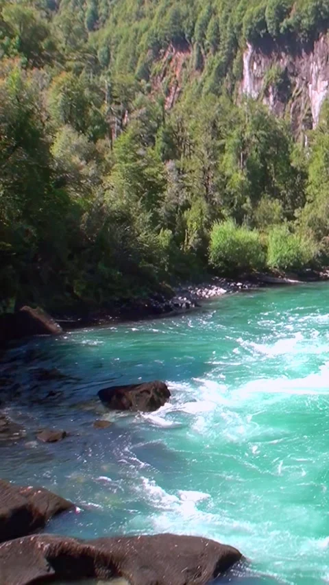 Turquoise River Flows Swiftly Through Los Alerces National Park Video stock 327098357