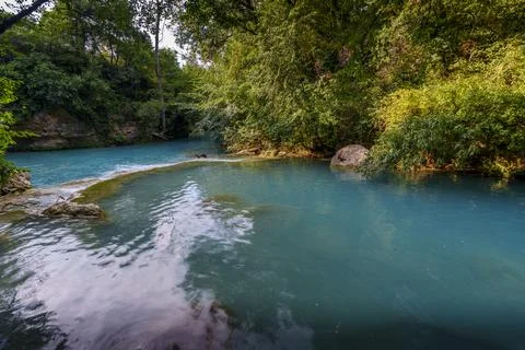 Turquoise river pool surrounded by lush greenery, summer in forest nature Foto stock
