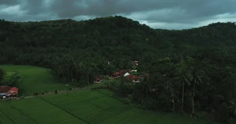 Turquoise River Stream Flowing Through Tropical Canyon Aerial View Video stock 332414732