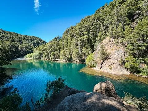 Turquoise river surrounded by dense forest viewed through trees Stock Photos