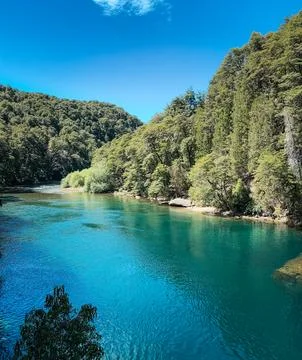 Turquoise river surrounded by dense forest viewed through trees Stock Photos