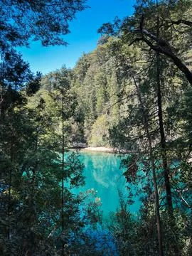 Turquoise river surrounded by dense forest viewed through trees Foto stock
