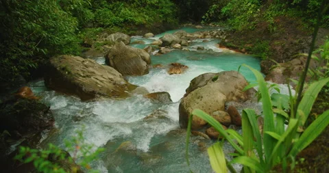 Turquoise river winds past mossy rocks beneath dense rainforest canopy in Blue Stock-Footage 326015205