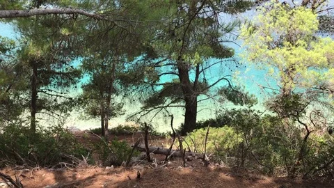 Turquoise sea between green trees in Ithaka or Ithaca in Greece Stock-Footage 81327373