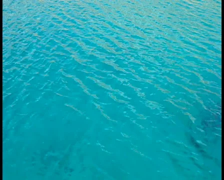 Turquoise Sea 库存影片 924487