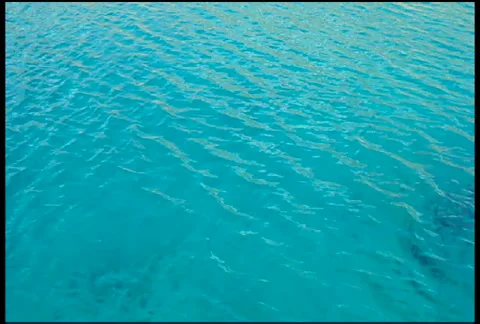 Turquoise Sea 库存影片 924488