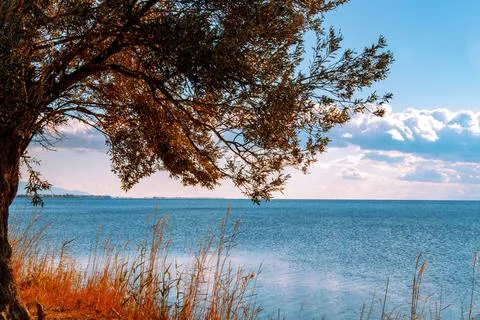 Turquoise Sea Stock Photos