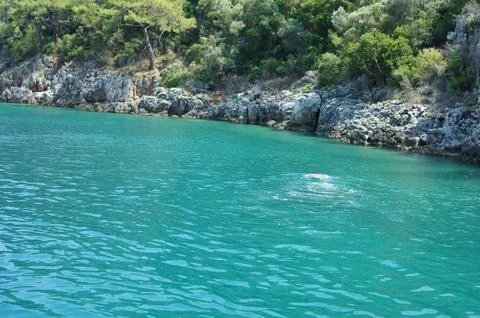 Turquoise sea Stock Photos