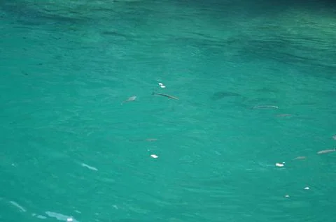 Turquoise sea Stock Photos