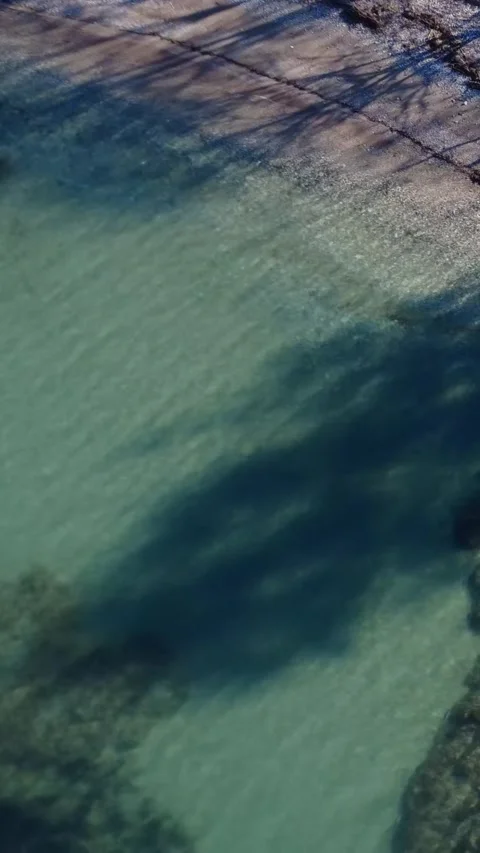 Turquoise Sea with Tree Shadows on Clear Water at Island Beach Stock Footage 343992804