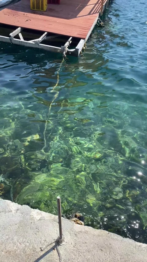 Turquoise sea water ripples between concrete dock and floating wooden platform Vídeos de archivo 343790281
