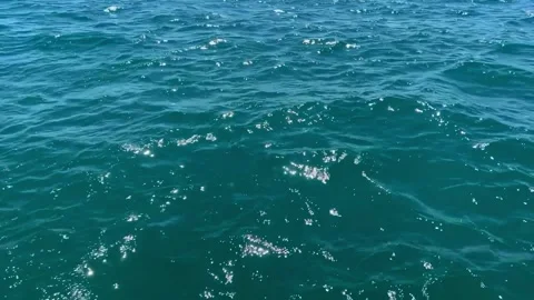 Turquoise Sea Waves: Nature's Symphony Stock Footage 269995415