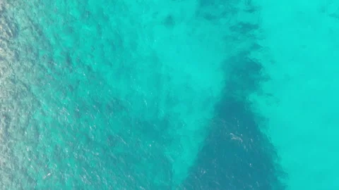 Turquoise shallow water, vacation warm sea Stock Footage 265756519