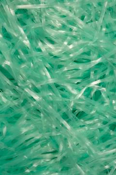 Turquoise shredded plastic fake Easter grass  Stock Photos